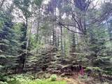 Lot 5 Eagle Waters Rd - Photo 4