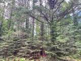 Lot 5 Eagle Waters Rd - Photo 5
