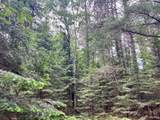 Lot 5 Eagle Waters Rd - Photo 6