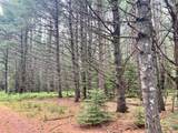 Lot 5 Eagle Waters Rd - Photo 8