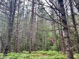 Lot 5 Eagle Waters Rd - Photo 9