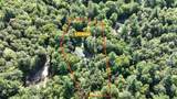 3700 Chain O Lakes Rd - Photo 11