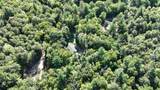 3700 Chain O Lakes Rd - Photo 9