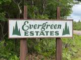 1147 Johnson Creek Rd - Photo 14