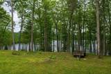 667 Hwy 45 - Photo 46