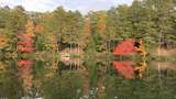 6449 Landing Lake Rd - Photo 26