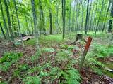 2185 Ahola Rd - Photo 4