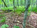 2185 Ahola Rd - Photo 5