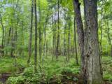 2185 Ahola Rd - Photo 8