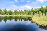 W4601 Olivotti Lake Rd - Photo 30