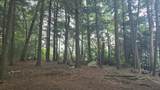 Off Big Lake Loop Rd - Photo 11
