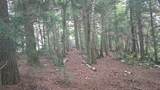 Off Big Lake Loop Rd - Photo 12