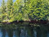 Off Big Lake Loop Rd - Photo 22