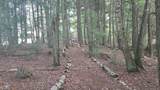 Off Big Lake Loop Rd - Photo 6