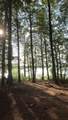 Off Big Lake Loop Rd - Photo 8