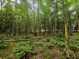 TBD Lakeshore Dr - Photo 4