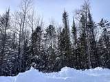 Lot 15 Butternut Cir - Photo 11