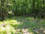 Lot 6 Hwy 17 - Photo 4