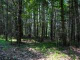 Lot 6 Hwy 17 - Photo 5