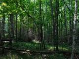Lot 6 Hwy 17 - Photo 6