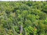 Lot 6 Hwy 17 - Photo 9