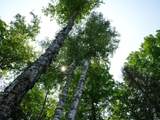 Lot 8 Hunters Ridge Rd - Photo 9