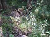ON Hwy 102 - Photo 13