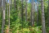5634 Katie Ln - Photo 59