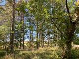 W5679 Berg Rd - Photo 37