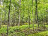 10 acres Bass Lake Rd - Photo 13