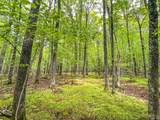 10 acres Bass Lake Rd - Photo 14