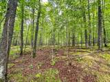 10 acres Bass Lake Rd - Photo 15