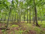 10 acres Bass Lake Rd - Photo 16