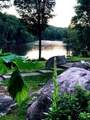 N2580 Hwy 55 - Photo 11