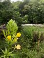 N2580 Hwy 55 - Photo 26