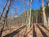 ON Roe Lake Rd - Photo 12