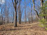ON Roe Lake Rd - Photo 28
