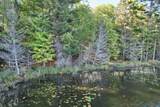 ON Boygan Lake Rd - Photo 5