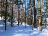 Lot 35 Alpine Dr - Photo 4