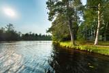 5181 Hideaway Dr - Photo 4