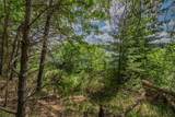 Off Hwy 45 - Photo 10
