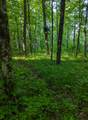 11355 Price Lake Rd - Photo 35