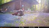 11355 Price Lake Rd - Photo 37