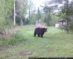 11355 Price Lake Rd - Photo 38
