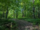 11355 Price Lake Rd - Photo 40