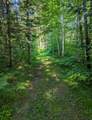 11355 Price Lake Rd - Photo 42