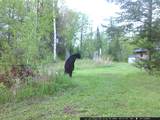 11355 Price Lake Rd - Photo 45