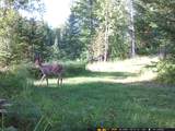11355 Price Lake Rd - Photo 46