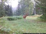 11355 Price Lake Rd - Photo 53