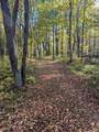 11355 Price Lake Rd - Photo 58